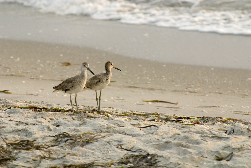 South Florida