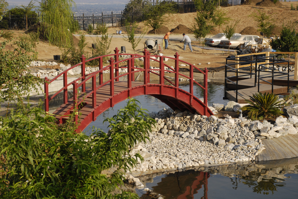 Pond Construction