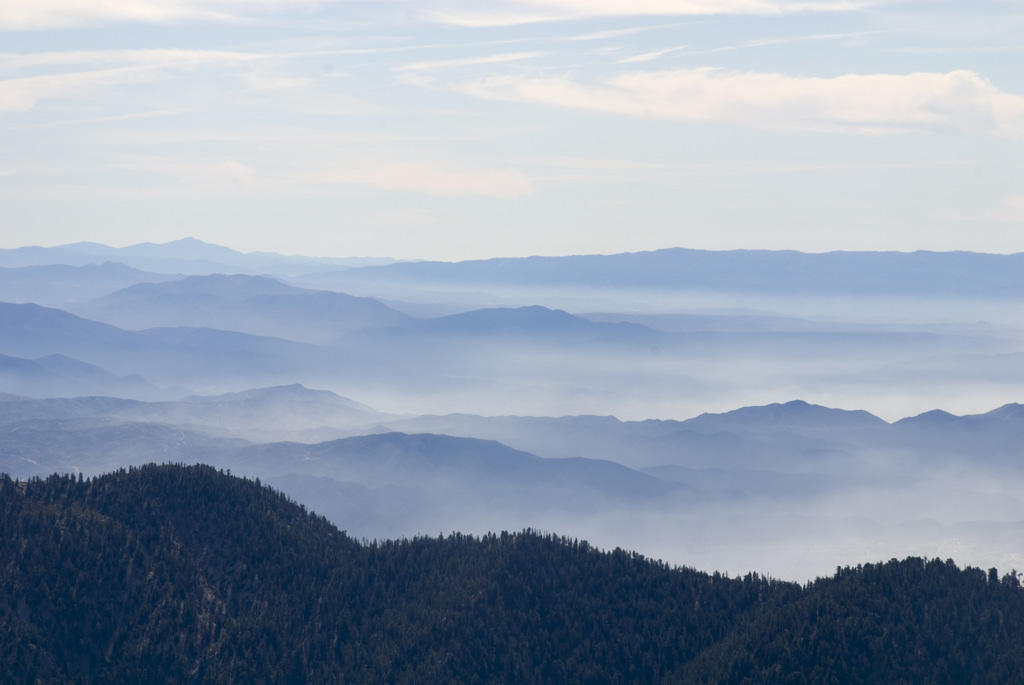 Angelus Oaks to San Bernardino Peak