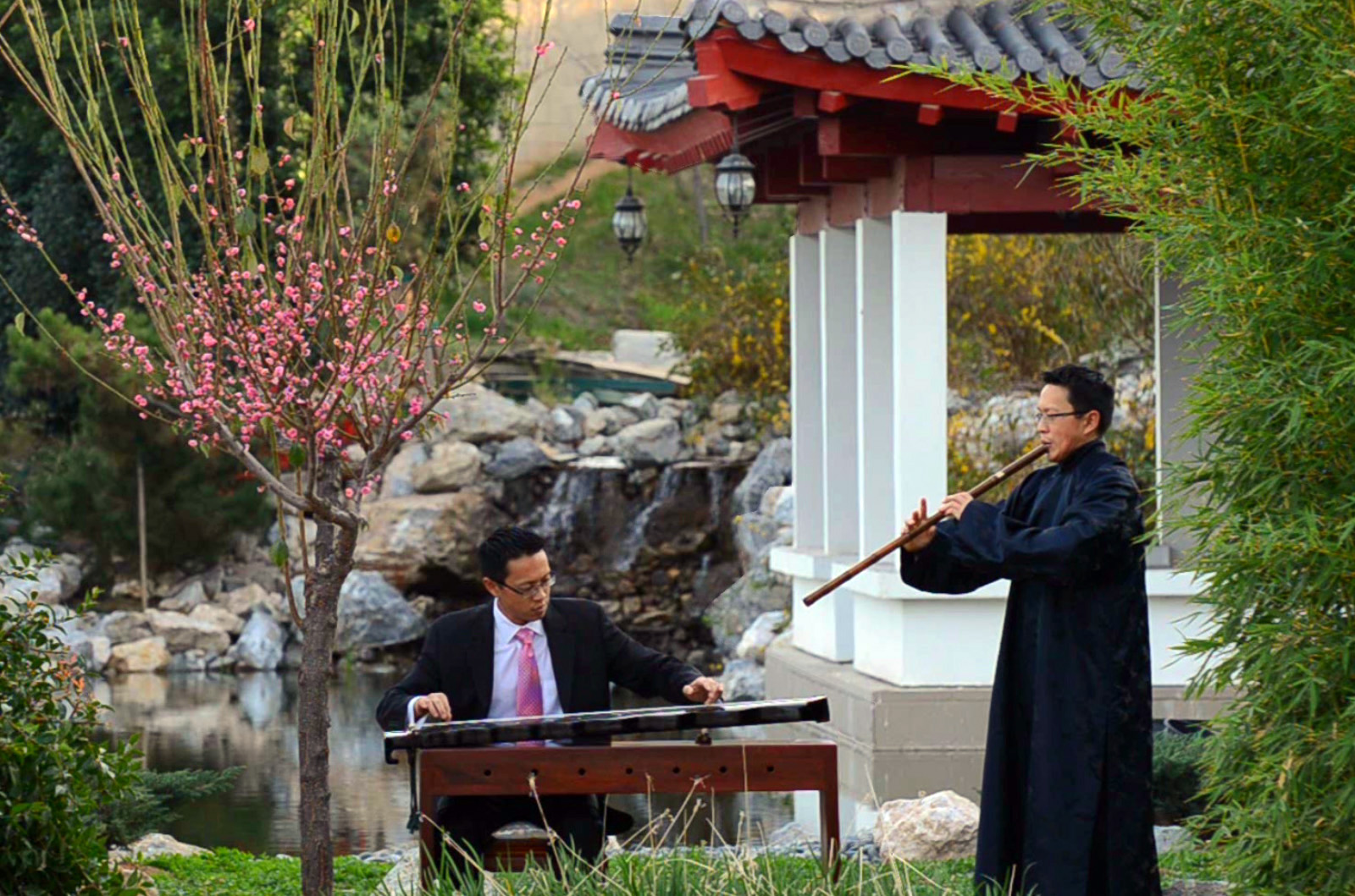 Three Variations of the Plum Blossom Theme
