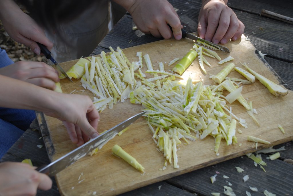Bamboo Shoot Party