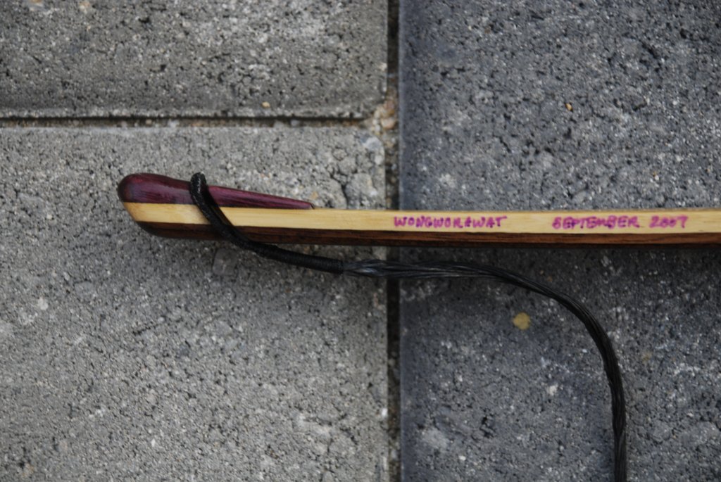 Reflex Deflex Bow