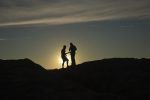 Joshua Tree